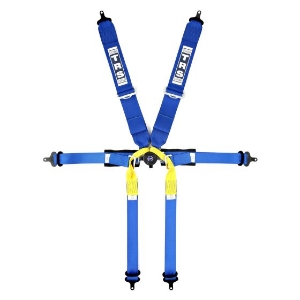 TRS PRO 6 Point Single Seater Harness 3X2